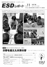 ESDreport11