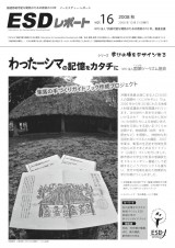 ESDreport16