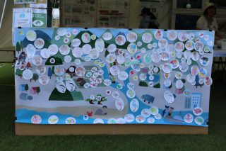 塗り絵した生き物が貼られた森里川海の大判ポスター