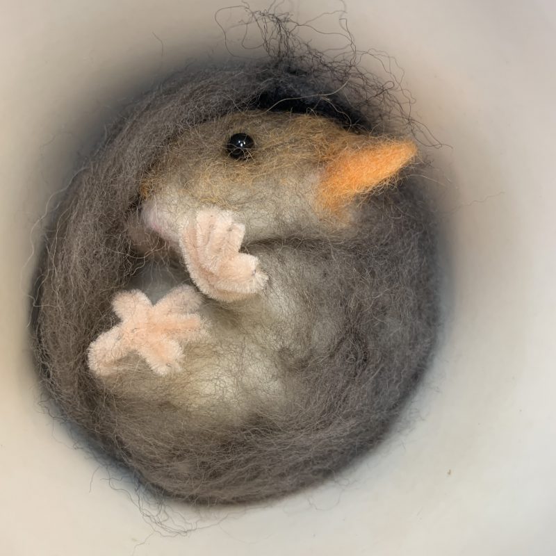 羊毛クラフトで作ったヤマネのサンプル
