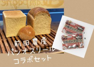 スペシャルセット申し込み