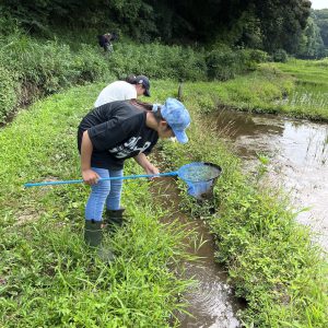 何が入っている